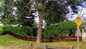 WhatsApp Image 2025-05-16 at 15.49.22.jpeg